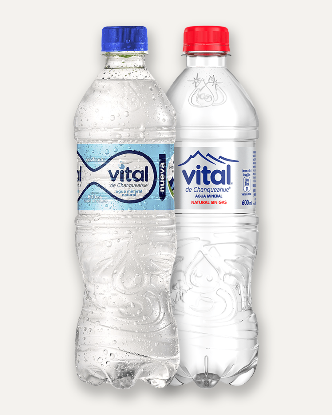 Agua Mineral Vital 600 ml